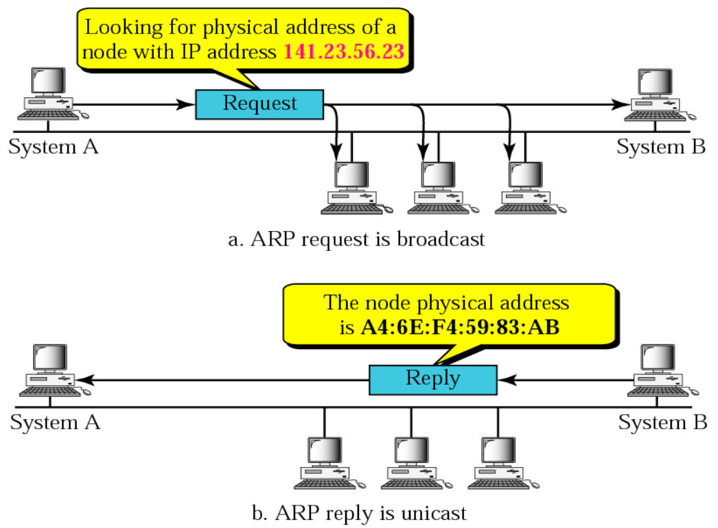 ARP 请求和应答示例