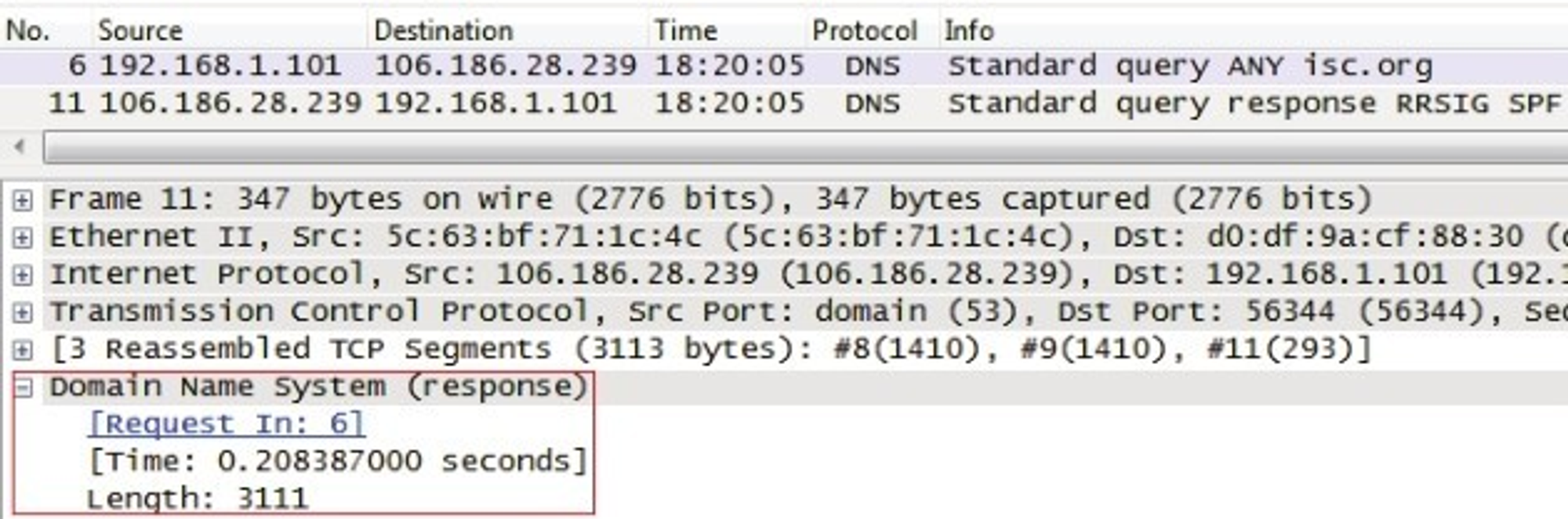 DNS 放大攻击