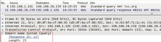 DNS 请求抓包