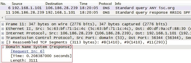 DNS 应答抓包