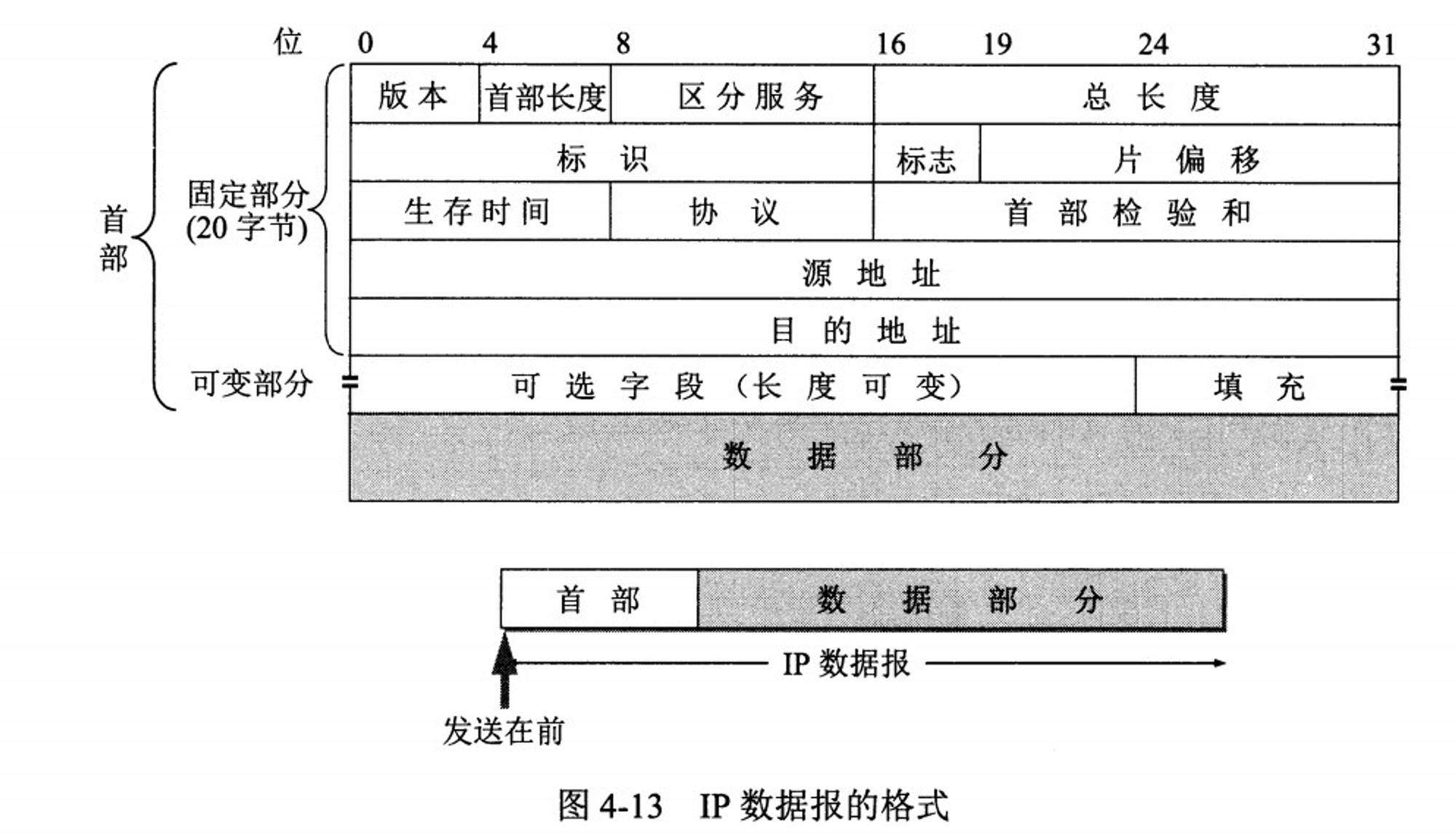 IP 数据报格式